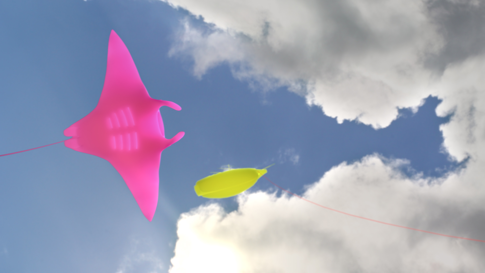 We're Hunting Treasures